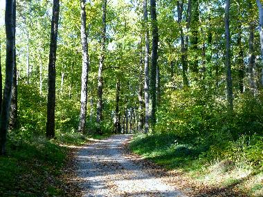 Appartement de vacances /en/au Koserow (Ostsee-Inseln)ou appartement ou maison de vacances