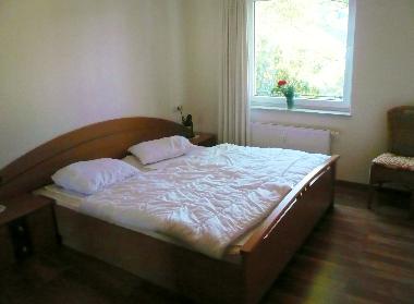 Appartement de vacances /en/au Willingen/Upland - Fewo E am Kurpark (Sauerland)ou appartement ou maison de vacances