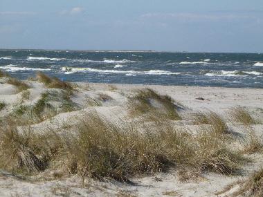 Appartement de vacances /en/au Prerow (Fischland-Dar-Zingst)ou appartement ou maison de vacances