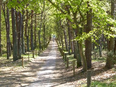 Appartement de vacances /en/au Prerow (Fischland-Dar-Zingst)ou appartement ou maison de vacances