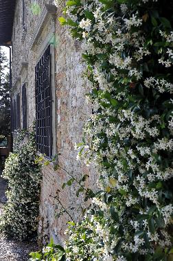 Chambre avec petit djeuner /en/au Scarperia (Firenze)ou appartement ou maison de vacances