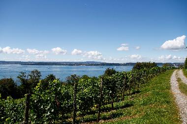 Appartement de vacances /en/au Markdorf (Bodensee)ou appartement ou maison de vacances