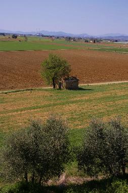 Appartement de vacances �/en/au Campiglia Marittima (Livorno)ou appartement ou maison de vacances