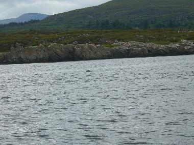 Maison de vacances �/en/au Tuosist (Kerry)ou appartement ou maison de vacances