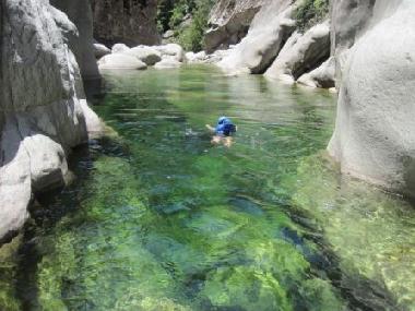 Appartement de vacances /en/au cort (Haute-Corse)ou appartement ou maison de vacances