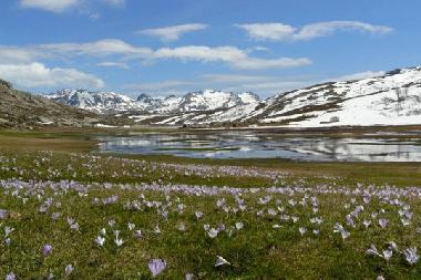 Appartement de vacances /en/au cort (Haute-Corse)ou appartement ou maison de vacances