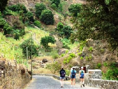 Chambre avec petit d�jeuner �/en/au Ponta do Sol (Ribeira Grande)ou appartement ou maison de vacances