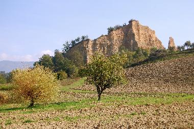 Appartement de vacances /en/au Reggello-Fi (Firenze)ou appartement ou maison de vacances