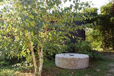 Appartement de vacances /en/au Reggello-Fi (Firenze)ou appartement ou maison de vacances