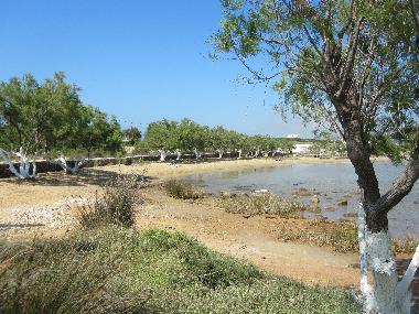 Maison de vacances �/en/au Antiparos (Kyklades)ou appartement ou maison de vacances
