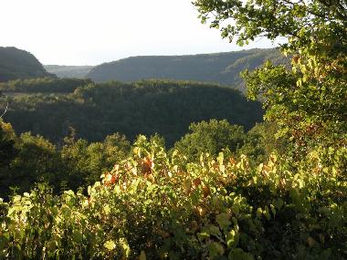 Maison de vacances /en/au Penne, Cordes, Vaour, Gaillac, Montauban, St. Anto (Tarn)ou appartement ou maison de vacances