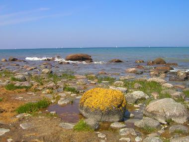 Maison de vacances �/en/au Ostseebad Baabe (Ostsee-Inseln)ou appartement ou maison de vacances