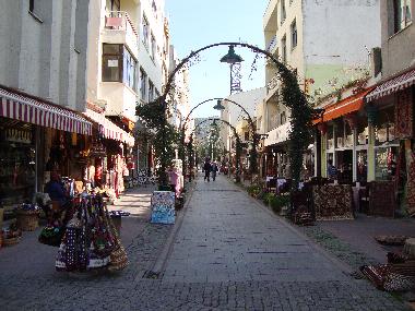 Villa /en/au Selcuk, Izmir (Izmir)ou appartement ou maison de vacances