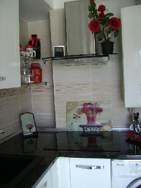 Appartement de vacances /en/au Cannes (Alpes-Maritimes)ou appartement ou maison de vacances