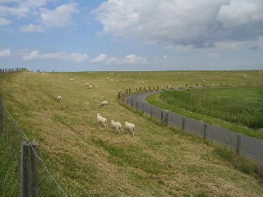 Maison de vacances /en/au Nemersiel (Nordsee-Festland / Ostfriesland)ou appartement ou maison de vacances