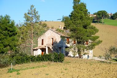 Maison de vacances /en/au Offida (Ascoli Piceno)ou appartement ou maison de vacances
