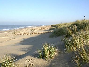 Maison de vacances /en/au De Cocksdorp (Noord-Holland)ou appartement ou maison de vacances