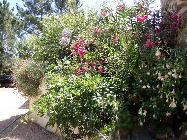 Appartement de vacances /en/au Caneiro - Mas de Dona Maria (Pinhal Litoral)ou appartement ou maison de vacances