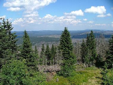 Bayrischer Wald