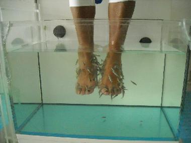 Appartement de vacances �/en/au Sta. Maria (Sal)ou appartement ou maison de vacances