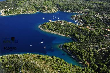 Maison de vacances �/en/au Grohote (Splitsko-Dalmatinska)ou appartement ou maison de vacances