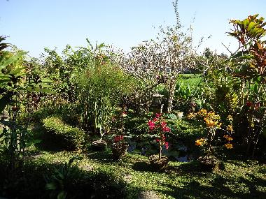 Maison de vacances �/en/au Ubud (Bali)ou appartement ou maison de vacances