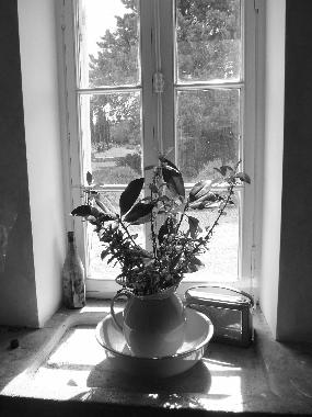 Maison de vacances /en/au St Martin Petit  (Lot-et-Garonne)ou appartement ou maison de vacances