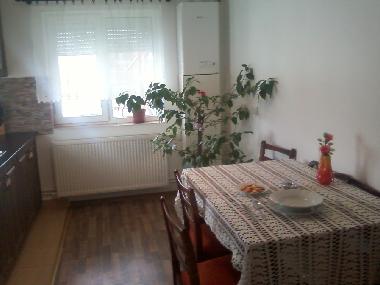 Maison de vacances �/en/au sancel (Sibiu)ou appartement ou maison de vacances