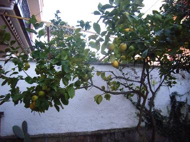 Appartement de vacances �/en/au Anzio - Lavinio (Roma)ou appartement ou maison de vacances