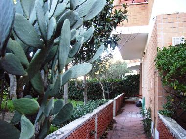 Appartement de vacances �/en/au Anzio - Lavinio (Roma)ou appartement ou maison de vacances