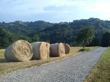 Chalet �/en/au anagni (Roma)ou appartement ou maison de vacances