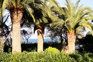 Maison de vacances �/en/au Monopoli-Capitolo (Bari)ou appartement ou maison de vacances