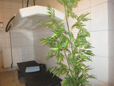 Appartement de vacances /en/au Friedeburg (Nordsee-Festland / Ostfriesland)ou appartement ou maison de vacances