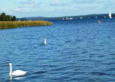 Maison de vacances /en/au Wendisch Rietz (Oder-Spree)ou appartement ou maison de vacances