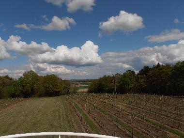 Maison de vacances �/en/au Vibrac (Charente-Maritime)ou appartement ou maison de vacances