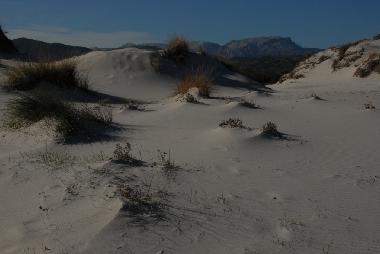 Maison de vacances �/en/au Budoni (Olbia-Tempio)ou appartement ou maison de vacances