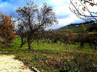 Chalet �/en/au alfacar (Granada)ou appartement ou maison de vacances