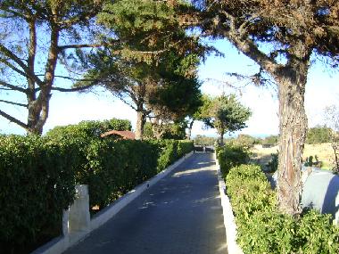 Appartement de vacances �/en/au Monopoli (Bari)ou appartement ou maison de vacances