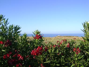 Appartement de vacances �/en/au Monopoli (Bari)ou appartement ou maison de vacances