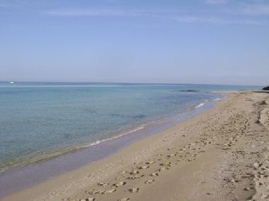 Appartement de vacances �/en/au Monopoli (Bari)ou appartement ou maison de vacances