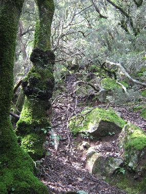 Maison de vacances �/en/au Ghisonaccia (Haute-Corse)ou appartement ou maison de vacances