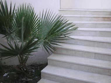 Villa �/en/au palmerais (Tunis)ou appartement ou maison de vacances