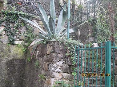 Villa /en/au Casarza Ligure (Genova)ou appartement ou maison de vacances
