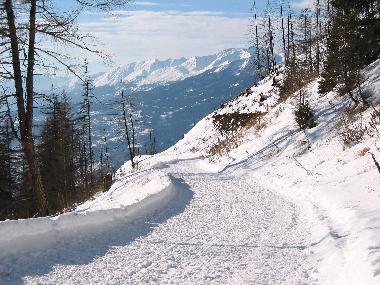 Appartement de vacances �/en/au Albinen (Albinen)ou appartement ou maison de vacances