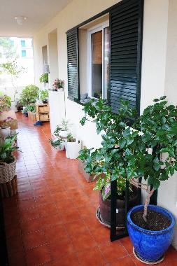 Appartement de vacances /en/au Canio de Baixo - Madeira (Madeira)ou appartement ou maison de vacances