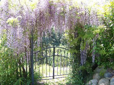 Maison de vacances �/en/au Travo (Haute-Corse)ou appartement ou maison de vacances