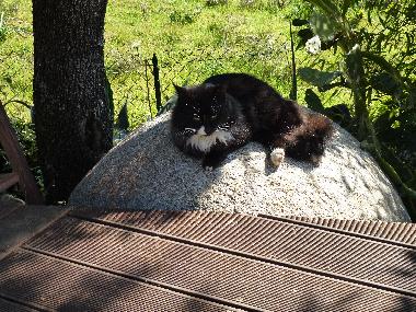 Maison de vacances �/en/au Travo (Haute-Corse)ou appartement ou maison de vacances