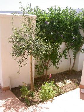 Maison de vacances /en/au Zahara de los Atunes (Cdiz)ou appartement ou maison de vacances