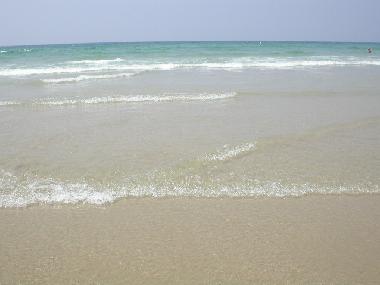 Maison de vacances /en/au Zahara de los Atunes (Cdiz)ou appartement ou maison de vacances