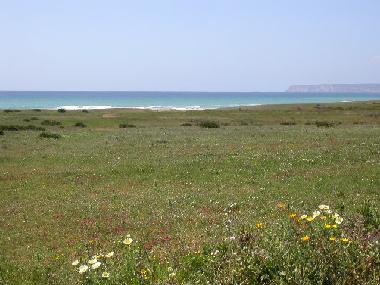 Maison de vacances /en/au Zahara de los Atunes (Cdiz)ou appartement ou maison de vacances